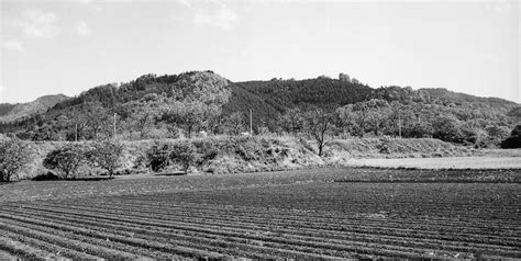 京都 火山|宝山（田倉山）｜京都府レッドデータブック201